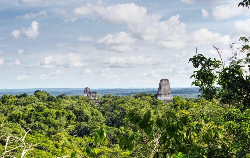 Tikal Expedition - Flat Rate of 580$ Required for 1 to 2 Guests and additional 290$ for each extra Guest.